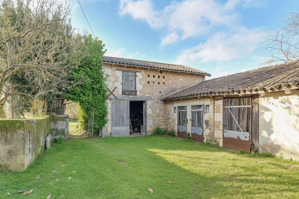 Outdoor & garden makeover